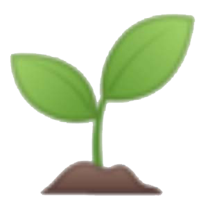 Seedling